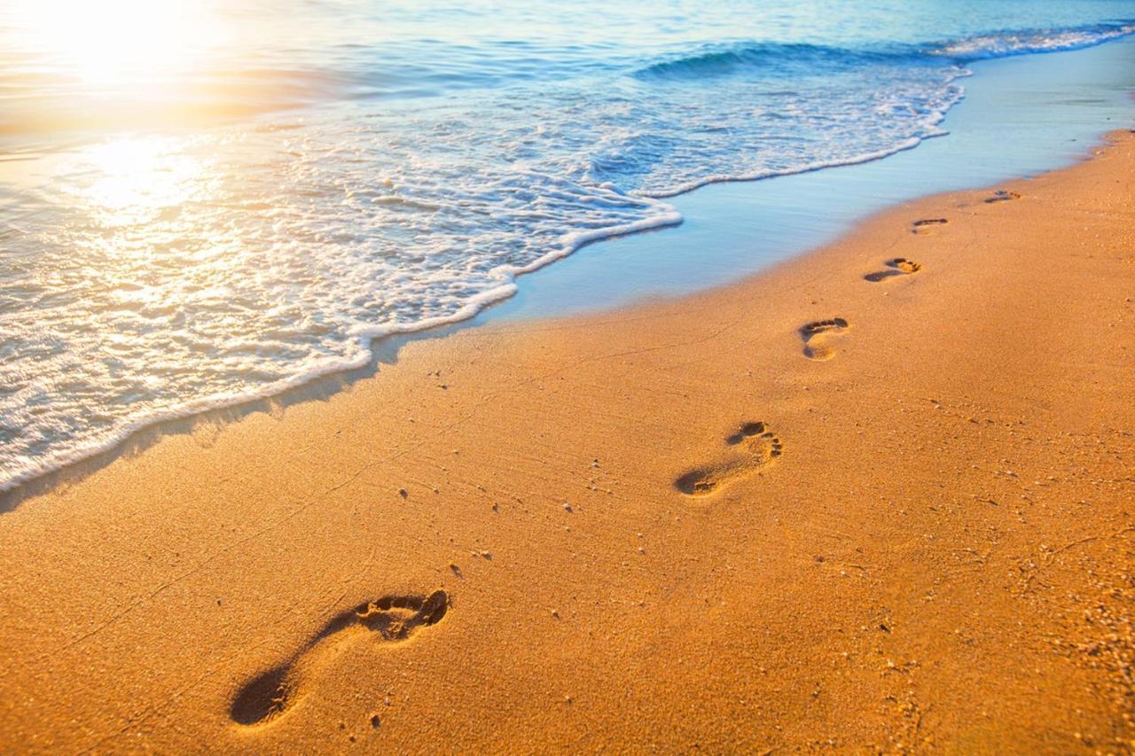 Beach Villa Home - Walk To Beaches Trails Restaurants Activities & More Half Moon Bay Esterno foto