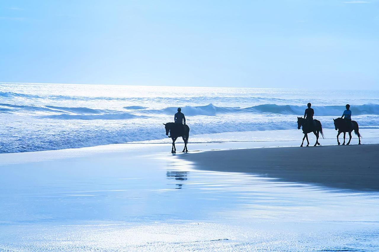 Beach Villa Home - Walk To Beaches Trails Restaurants Activities & More Half Moon Bay Esterno foto